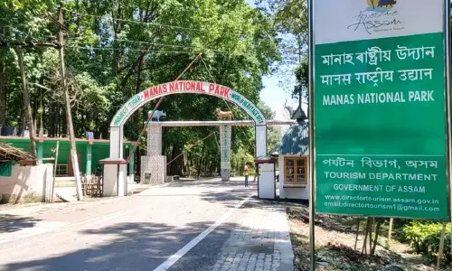 Assam: गुवाहाटी हाई कोर्ट ने मानस नेशनल पार्क में और अतिक्रमण रोकने का आदेश दिया Assam: गुवाहाटी हाई कोर्ट ने मानस नेशनल पार्क में और अतिक्रमण रोकने का आदेश दिया