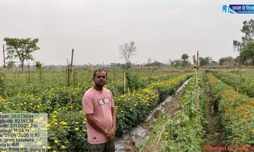 गरियाबंद : गेंदा फूल की खेती से किसान हेमचंद साहू की बदली तस्वीर गरियाबंद : गेंदा फूल की खेती से किसान हेमचंद साहू की बदली तस्वीर