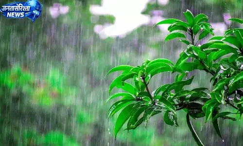 हिमाचल में छह अगस्त तक बारिश का यलो अलर्ट हिमाचल में छह अगस्त तक बारिश का यलो अलर्ट
