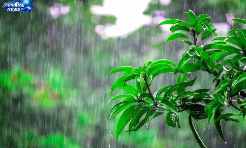 मंडी में मानसून ने दी आधी-अधूरी सौगात, 23 फीसदी कम बारिश मंडी में मानसून ने दी आधी-अधूरी सौगात, 23 फीसदी कम बारिश
