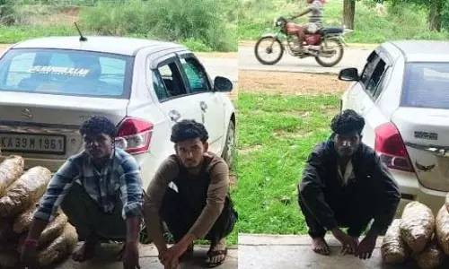 60 लाख का गांजा जब्त, सुकमा में 3 तस्कर पकड़ाए 60 लाख का गांजा जब्त, सुकमा में 3 तस्कर पकड़ाए