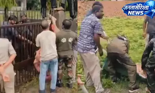 लोहे के गेट में फंसा शावक, गुजरात वन विभाग ने किया सफल रेस्क्यू