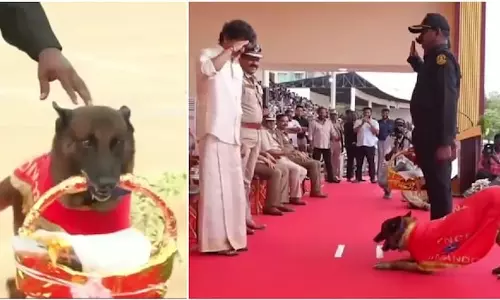 तमिलनाडु सीएम विजय और पुलिस डॉग रॉकी की प्यारी मुलाकात तमिलनाडु सीएम विजय और पुलिस डॉग रॉकी की प्यारी मुलाकात