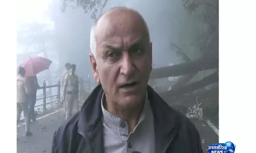 Shimla Mayor ने खतरनाक पेड़ों की कटाई प्रक्रिया आसान करने की मांग की