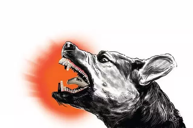 तमिलनाडु में कुत्तों के काटने की बढ़ती घटनाएं बनीं चिंता का विषय तमिलनाडु में कुत्तों के काटने की बढ़ती घटनाएं बनीं चिंता का विषय