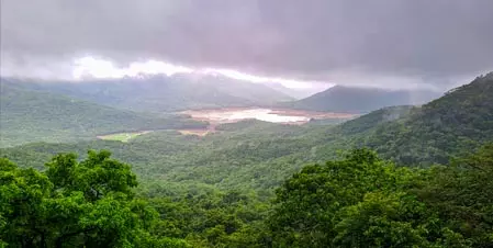 तमिलनाडु के पश्चिमी जिलों में 6 अगस्त तक भारी बारिश और तेज हवाएं चलने की संभावना तमिलनाडु के पश्चिमी जिलों में 6 अगस्त तक भारी बारिश और तेज हवाएं चलने की संभावना