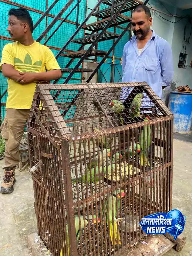 PETA शिकायत पर वन विभाग ने 15 पक्षी बचाए PETA शिकायत पर वन विभाग ने 15 पक्षी बचाए