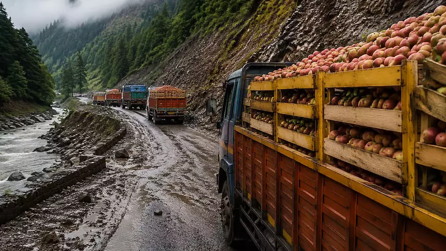 कश्मीर की सेब अर्थव्यवस्था पर संकट, हाईवे जाम को लेकर सियासी घमासान तेज कश्मीर की सेब अर्थव्यवस्था पर संकट, हाईवे जाम को लेकर सियासी घमासान तेज
