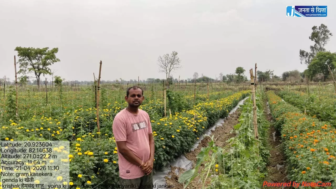 कोरबा में हाथी उत्पात, किसान की मौत कोरबा में हाथी उत्पात, किसान की मौत