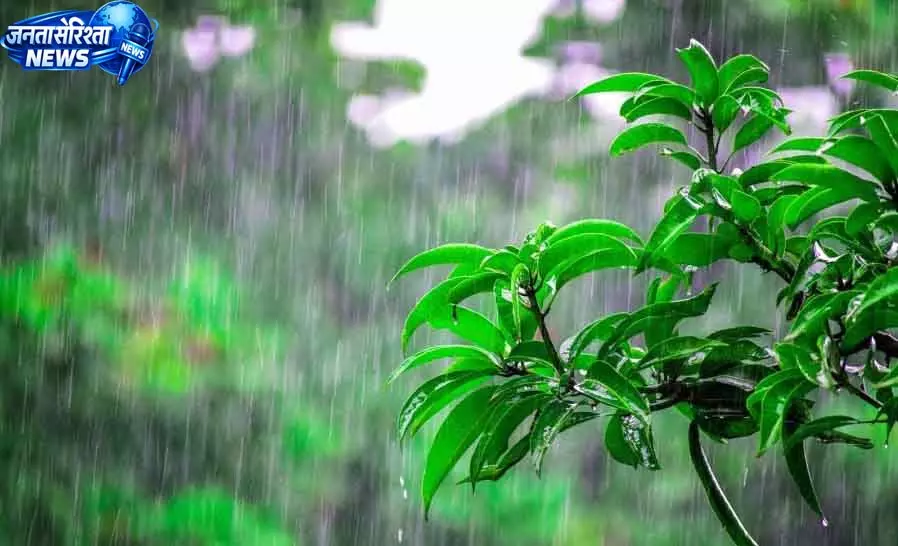 हिमाचल में छह अगस्त तक बारिश का यलो अलर्ट हिमाचल में छह अगस्त तक बारिश का यलो अलर्ट