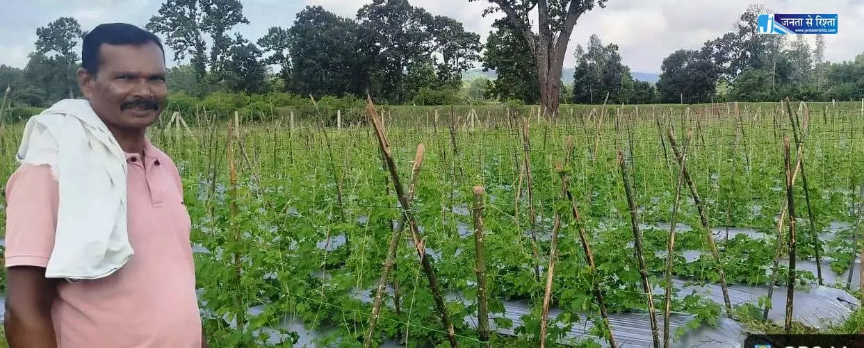 वैज्ञानिक खेती अपनाकर, करेला उत्पादन में किसान बजरंग बने प्रेरणा स्रोत वैज्ञानिक खेती अपनाकर, करेला उत्पादन में किसान बजरंग बने प्रेरणा स्रोत