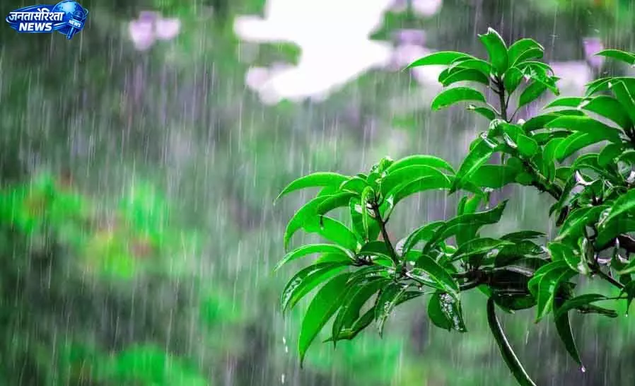 मंडी में मानसून ने दी आधी-अधूरी सौगात, 23 फीसदी कम बारिश मंडी में मानसून ने दी आधी-अधूरी सौगात, 23 फीसदी कम बारिश