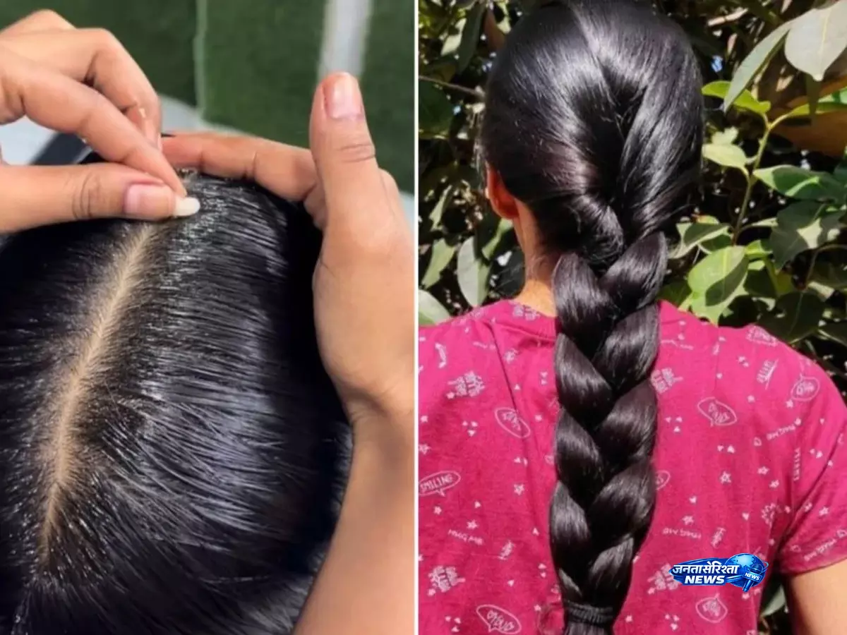 सिर्फ तेल लगाना काफी नहीं, बालों की मजबूती के लिए अपनाएं ये सही तरीका सिर्फ तेल लगाना काफी नहीं, बालों की मजबूती के लिए अपनाएं ये सही तरीका