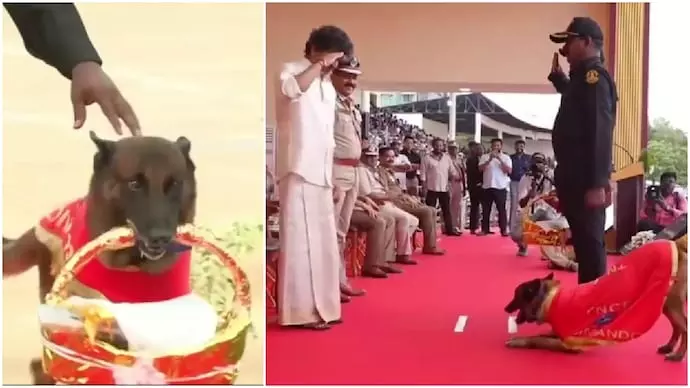 तमिलनाडु सीएम विजय और पुलिस डॉग रॉकी की प्यारी मुलाकात तमिलनाडु सीएम विजय और पुलिस डॉग रॉकी की प्यारी मुलाकात