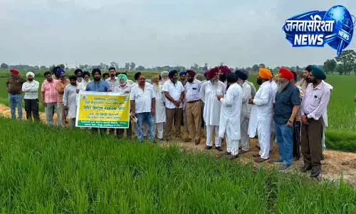 Punjab किसानों को DSR तकनीक अपनाने की सलाह
