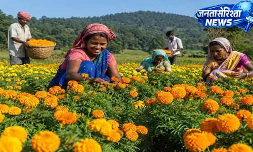 खूंटी में गेंदा खेती से बदली किसानों की तकदीर खूंटी में गेंदा खेती से बदली किसानों की तकदीर