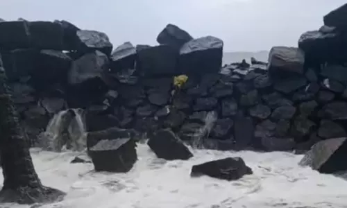 मछलियों की बढ़ी आमद से मछुआरों को राहत, समुद्र ने लौटाई खुशहाली