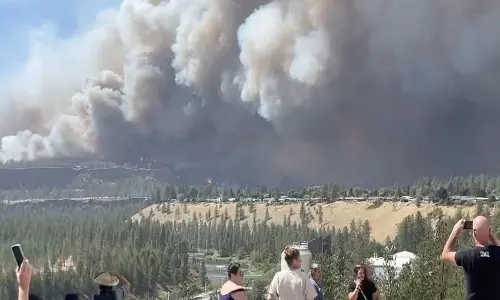 Washington में जंगल की आग पर आपातकाल घोषित