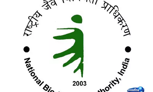 NBA ने चावल अनुसंधान संस्थानों और चावल उगाने वाले राज्यों को 8.22 करोड़ रुपये जारी किए