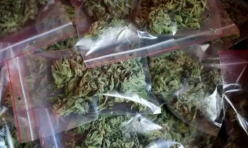 ड्रग्स मामला: अंजुना पुलिस ने ओडिशा के शख्स को भेजा जेल ड्रग्स मामला: अंजुना पुलिस ने ओडिशा के शख्स को भेजा जेल