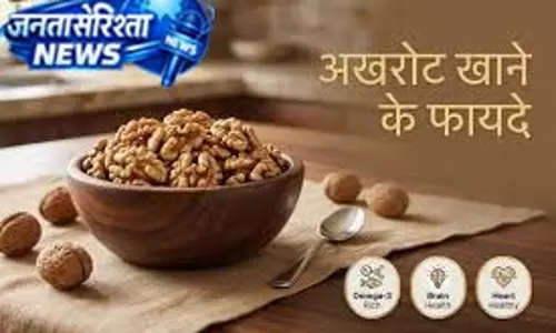 अखरोट खाने से तेज होता है दिमाग, जानें फायदे अखरोट खाने से तेज होता है दिमाग, जानें फायदे
