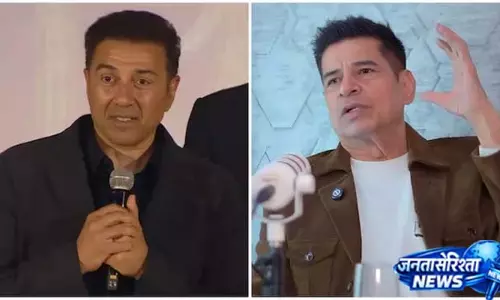 शाहरुख खान को मिला था विलेन का आइकॉनिक रोल शाहरुख खान को मिला था विलेन का आइकॉनिक रोल