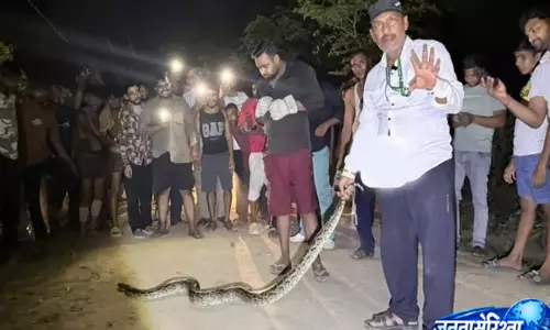 खतौली में कांवड़ियों के रास्ते आया विशाल अजगर, घंटों की मशक्कत के बाद हुआ रेस्क्यू खतौली में कांवड़ियों के रास्ते आया विशाल अजगर, घंटों की मशक्कत के बाद हुआ रेस्क्यू