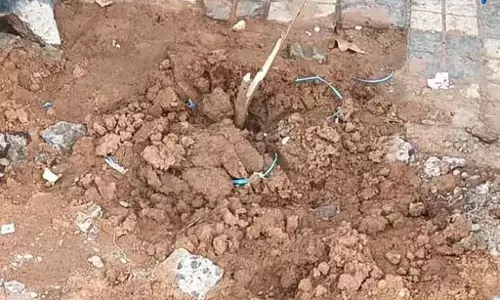 एक पेड़ मां के नाम अभियान के पेड़ की बलि, शिकायत के बाद पुलिस ने की कार्रवाई एक पेड़ मां के नाम अभियान के पेड़ की बलि, शिकायत के बाद पुलिस ने की कार्रवाई
