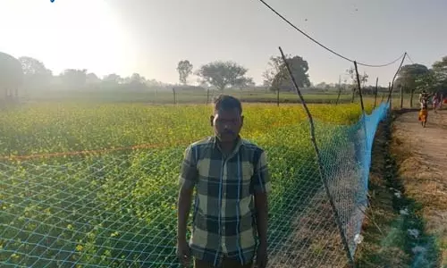 प्रधानमंत्री धन-धान्य कृषि योजना से किसान बलदेव राजवाड़े को मिला लाभ प्रधानमंत्री धन-धान्य कृषि योजना से किसान बलदेव राजवाड़े को मिला लाभ