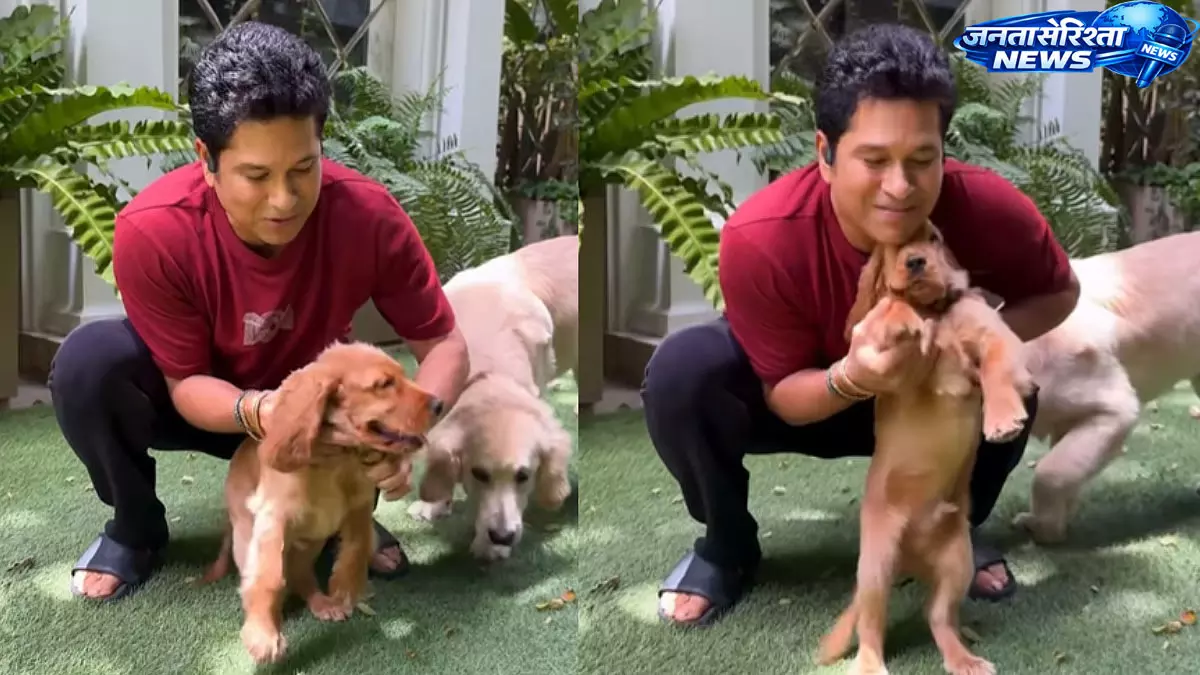 सचिन तेंदुलकर ने कुत्तों के साथ मनाया फ्रेंडशिप डे, सोशल मीडिया पर वायरल हुई प्यारी पोस्ट सचिन तेंदुलकर ने कुत्तों के साथ मनाया फ्रेंडशिप डे, सोशल मीडिया पर वायरल हुई प्यारी पोस्ट