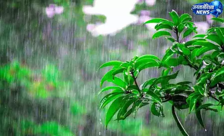 मंडी में मानसून ने दी आधी-अधूरी सौगात, 23 फीसदी कम बारिश मंडी में मानसून ने दी आधी-अधूरी सौगात, 23 फीसदी कम बारिश