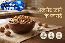 अखरोट खाने से तेज होता है दिमाग, जानें फायदे अखरोट खाने से तेज होता है दिमाग, जानें फायदे