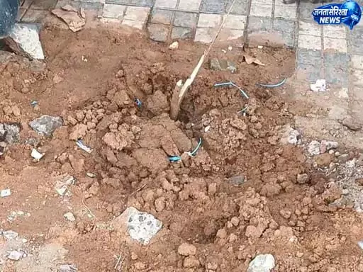 एक पेड़ मां के नाम अभियान के पेड़ की बलि, शिकायत के बाद पुलिस ने की कार्रवाई एक पेड़ मां के नाम अभियान के पेड़ की बलि, शिकायत के बाद पुलिस ने की कार्रवाई