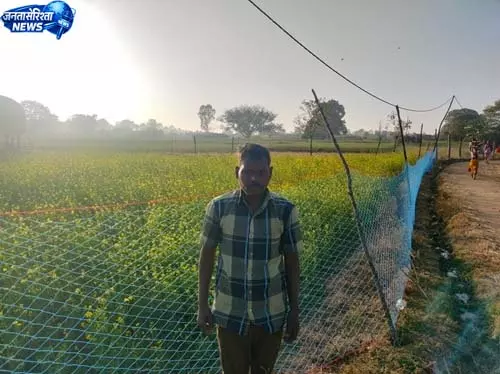 प्रधानमंत्री धन-धान्य कृषि योजना से किसान बलदेव राजवाड़े को मिला लाभ प्रधानमंत्री धन-धान्य कृषि योजना से किसान बलदेव राजवाड़े को मिला लाभ