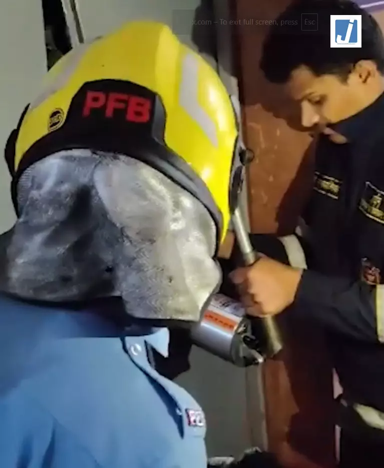 लिफ्ट में फंसे मासूम समेत 5 लोगों का रेस्क्यू, फायर ब्रिगेड ने हाइड्रोलिक उपकरण से बचाई जान लिफ्ट में फंसे मासूम समेत 5 लोगों का रेस्क्यू, फायर ब्रिगेड ने हाइड्रोलिक उपकरण से बचाई जान