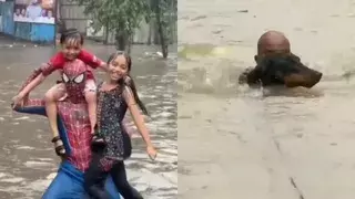 ब्रेकअप से मिली नई पहचान, शादाब मोमिन का स्पाइडर-मैन अवतार सोशल मीडिया पर छाया