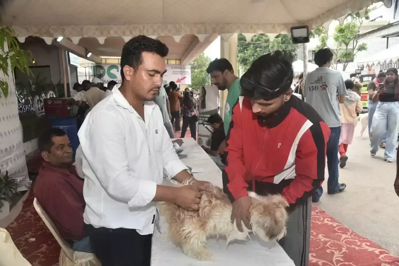 Jaipur: 32 वर्गफीट पेट पिज्जा ने खींचा ध्यान, जयपुर में दिखा पेट्स का क्रेज Jaipur: 32 वर्गफीट पेट पिज्जा ने खींचा ध्यान, जयपुर में दिखा पेट्स का क्रेज