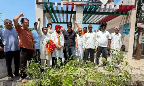 Jammu: जिला कांग्रेस जम्मू ग्रामीण ने लगाए पौधे, लिया हरियाली का संकल्प Jammu: जिला कांग्रेस जम्मू ग्रामीण ने लगाए पौधे, लिया हरियाली का संकल्प