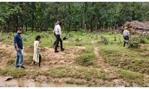 मलेरिया के 3 नए मरीज मिले बिलासपुर कोटा में