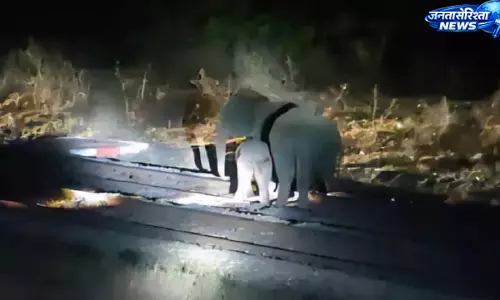 हाथियों के आवागमन से हावड़ा-नई दिल्ली रेल मार्ग बाधित हाथियों के आवागमन से हावड़ा-नई दिल्ली रेल मार्ग बाधित