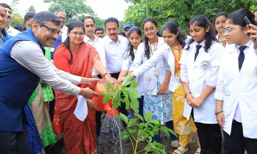 सिंहस्थ से पहले नासिक में हरियाली अभियान सिंहस्थ से पहले नासिक में हरियाली अभियान