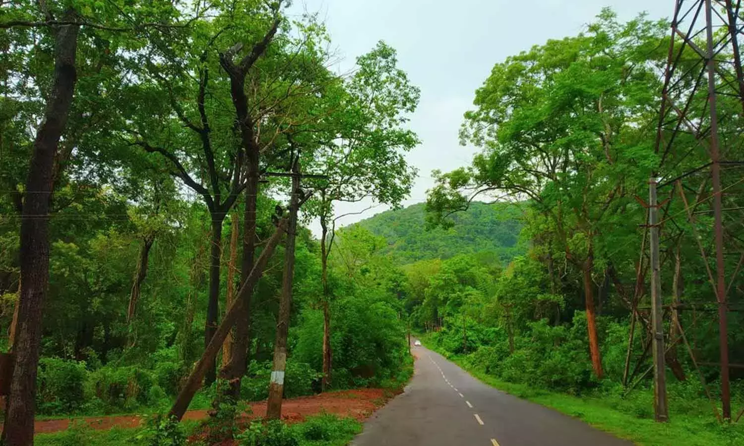 Andhra: समरलाकोटा-चिंतूर लाइन को रेलवे बोर्ड की मंज़ूरी का इंतज़ार है Andhra: समरलाकोटा-चिंतूर लाइन को रेलवे बोर्ड की मंज़ूरी का इंतज़ार है