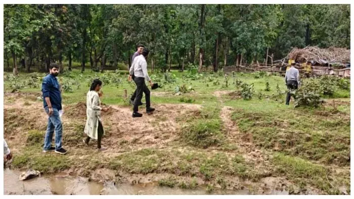 मलेरिया के 3 नए मरीज मिले बिलासपुर कोटा में मलेरिया के 3 नए मरीज मिले बिलासपुर कोटा में