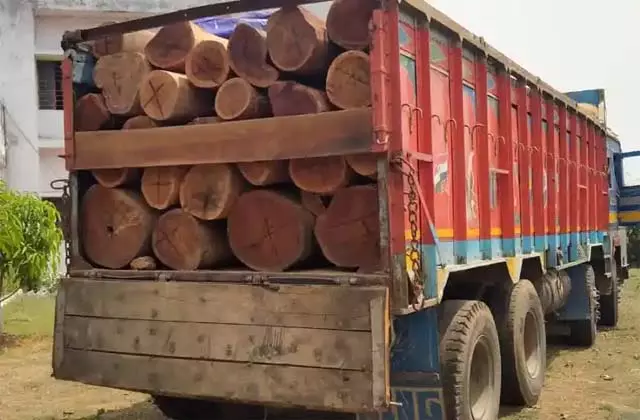 Kathua: लकड़ी जब्ती विवाद पर वन विभाग का पलटवार, कहा- तथ्यों को किया जा रहा है तोड़-मरोड़कर पेश Kathua: लकड़ी जब्ती विवाद पर वन विभाग का पलटवार, कहा- तथ्यों को किया जा रहा है तोड़-मरोड़कर पेश
