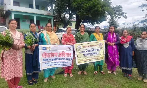 Mandi: साक्षरता समिति का हरियाली अभियान, तीन जिलों में होगा पौधारोपण
