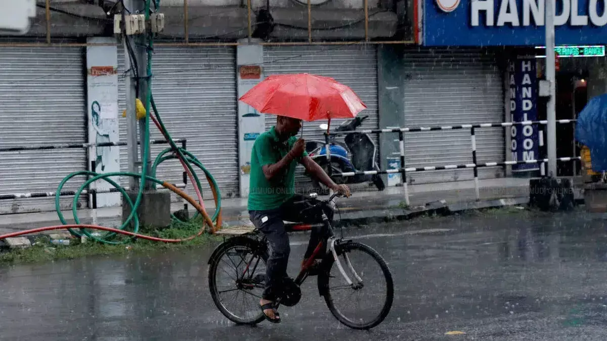 Kerala में बारिश और तेज होगी; 10 ज़िलों में छुट्टी घोषित, PSC परीक्षाएं स्थगित Kerala में बारिश और तेज होगी; 10 ज़िलों में छुट्टी घोषित, PSC परीक्षाएं स्थगित