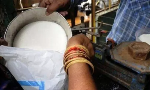 हरियाणा में 4.03 लाख BPL राशन कार्ड परिवारों की जांच शुरू