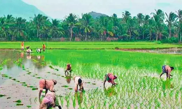 Andhra: एलुरु में किसानों का विरोध प्रदर्शन, कृष्णा डेल्टा क्षेत्रों के लिए पानी की मांग