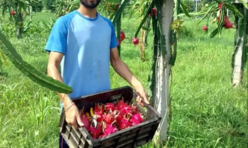 रिटायरमेंट के बाद जीवन राणा ने बदली खेती की तस्वीर