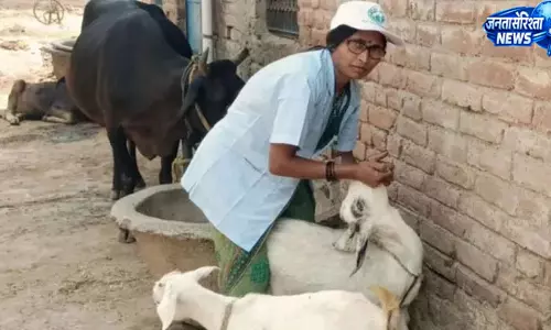 प्राकृतिक आपदाओं में पशुधन की मौत पर मिलेगा मुआवजा